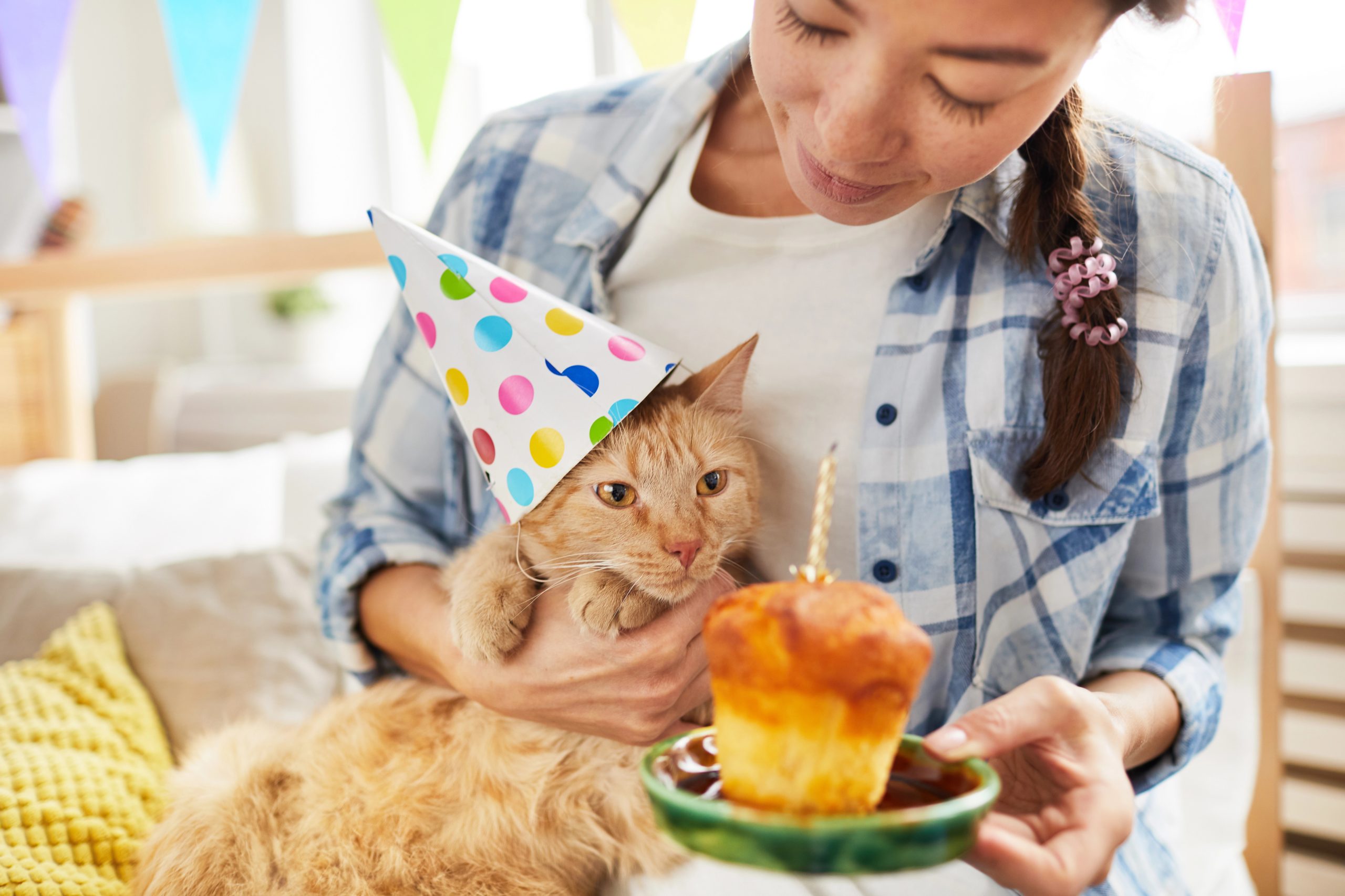 Girl presenting cat with birthday cupcake