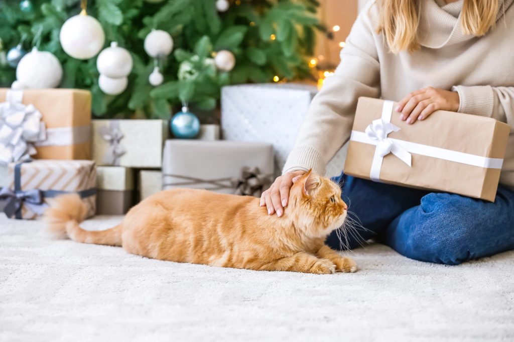 Woman petting cat while holding a gift