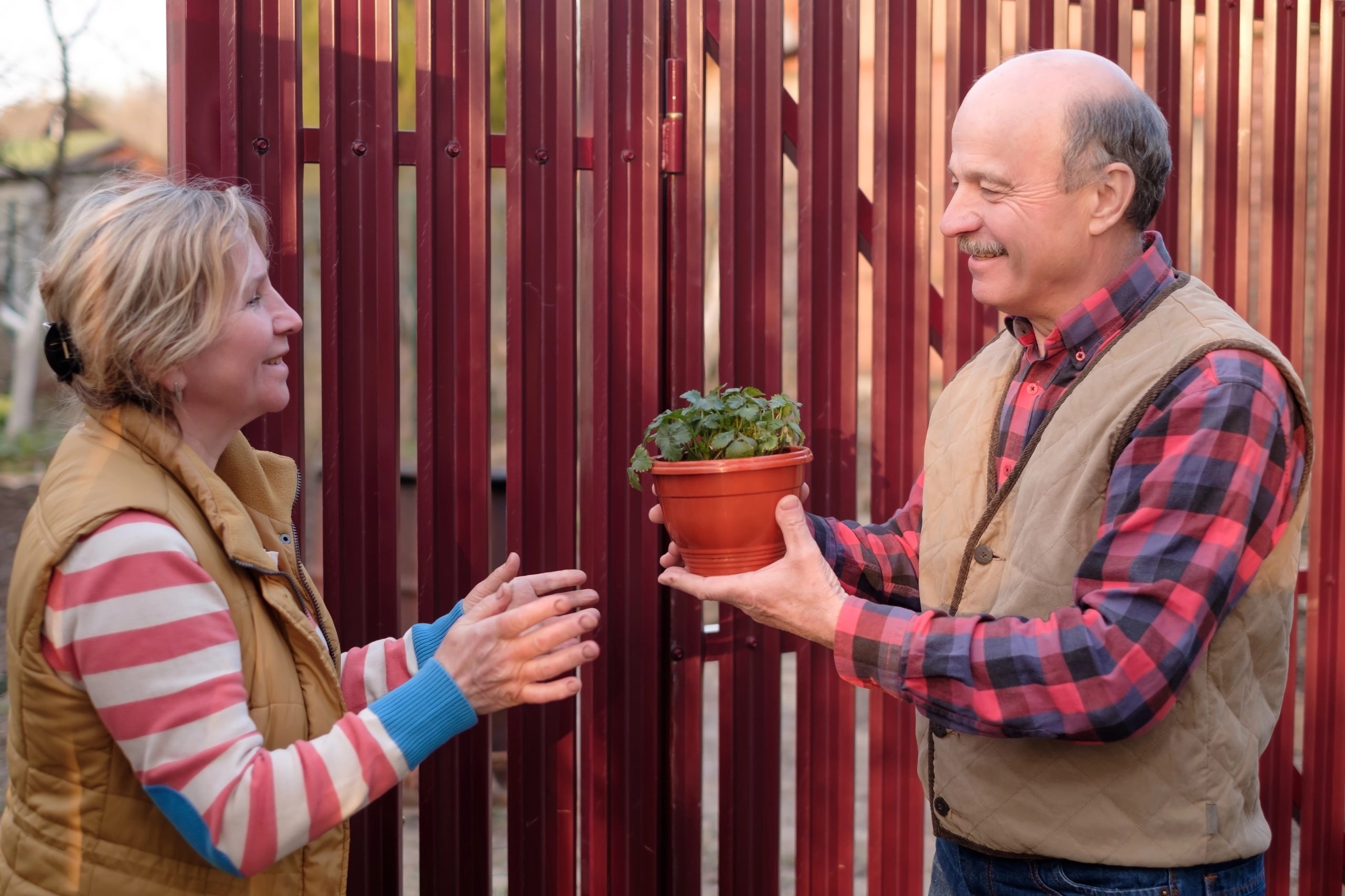 man giving neighbor gift of plant