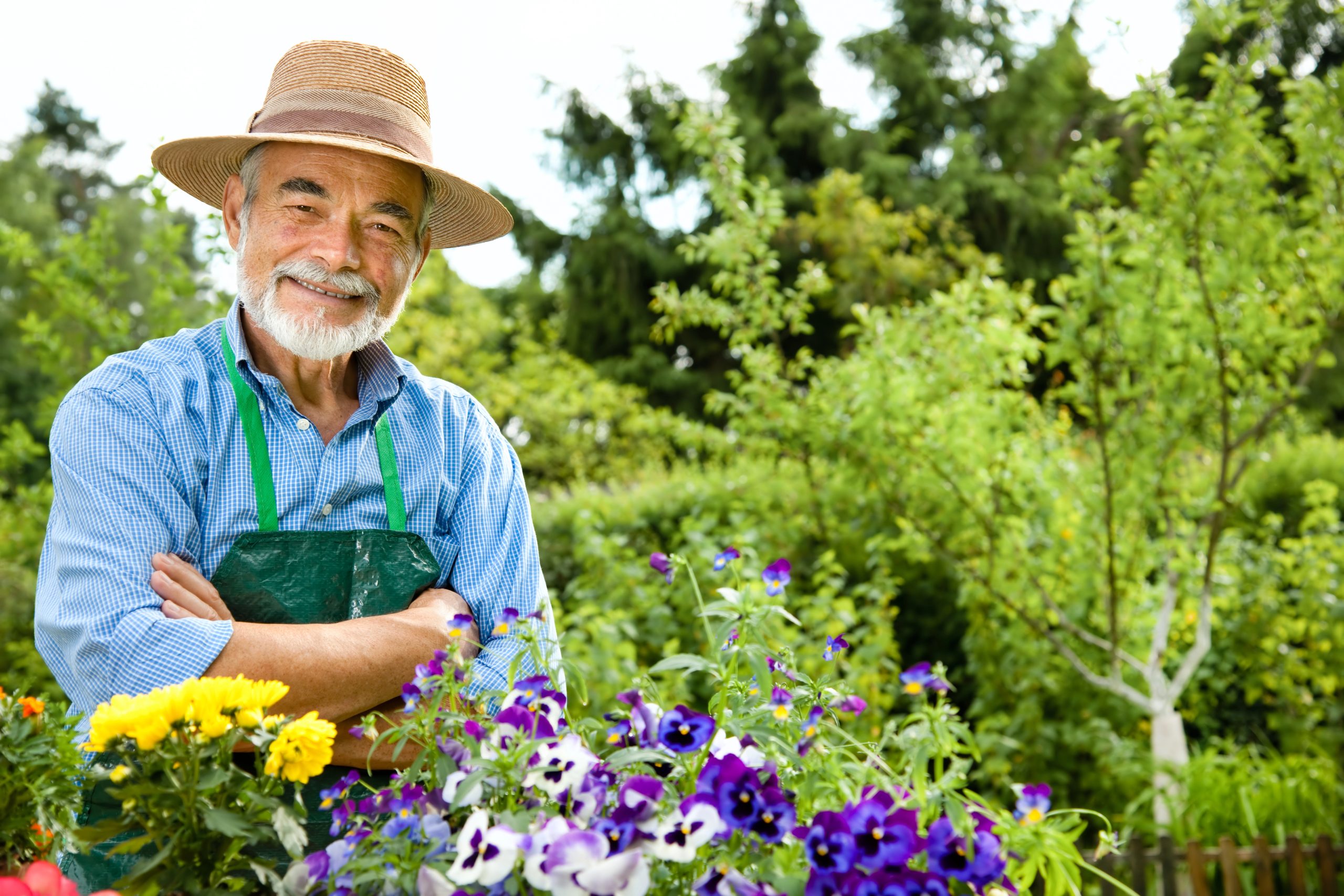 older man smiling in garden
