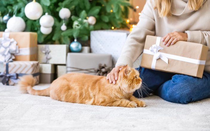Woman petting cat while holding a gift