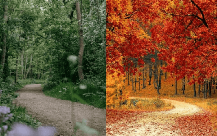Untitled design (27) (1)