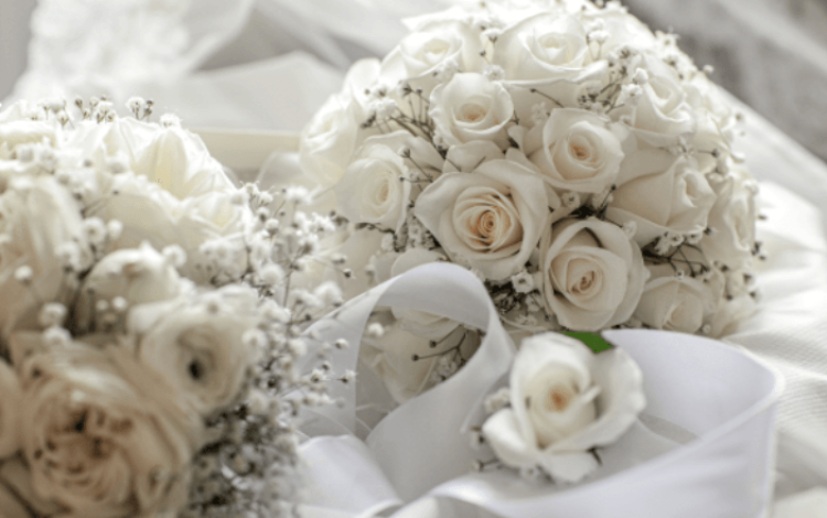 Untitled design (59) (1)